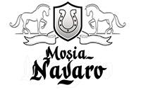 Navaro Luxury Ballrooms