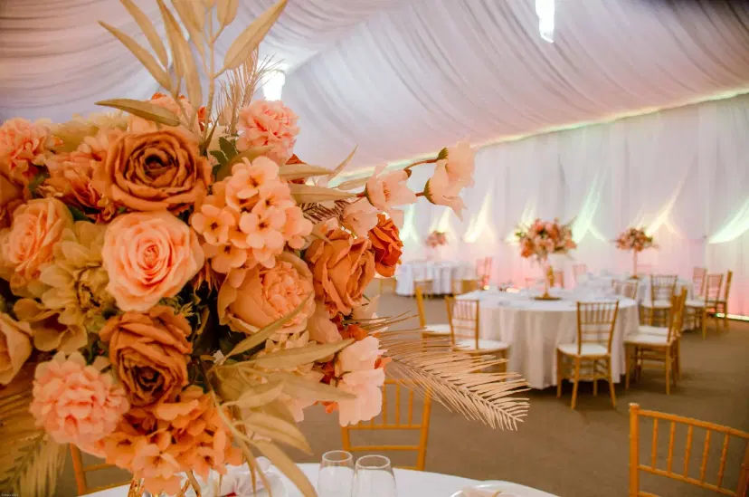 https://honeypot0.s3.amazonaws.com/1700233613984-gallery-LOLU%20FOREST%20EVENTS%20%282%29.webp