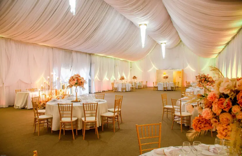 https://honeypot0.s3.amazonaws.com/1700233614210-gallery-LOLU%20FOREST%20EVENTS%20%283%29.webp