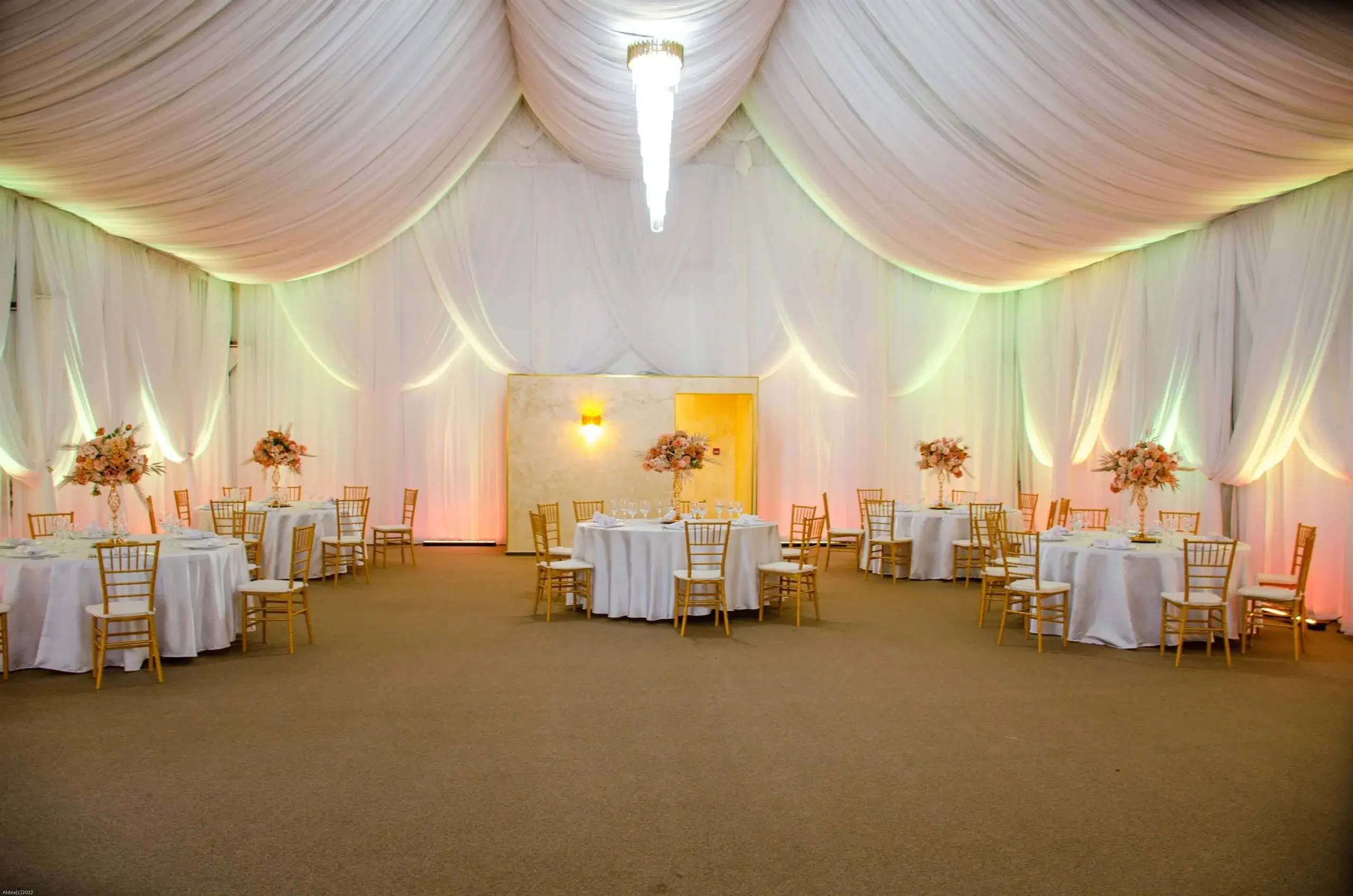 Lolu Forest Events