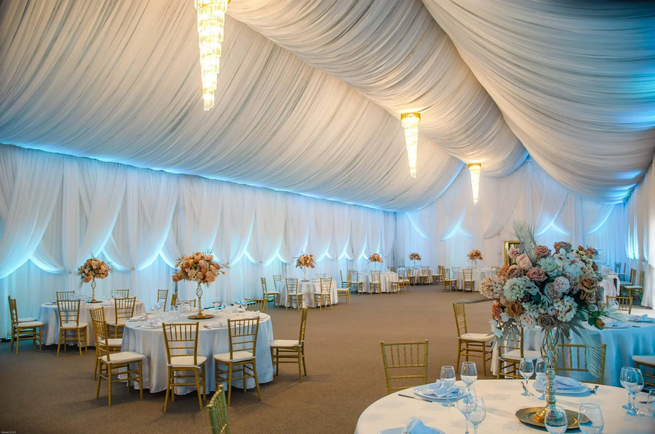 Lolu Forest Events