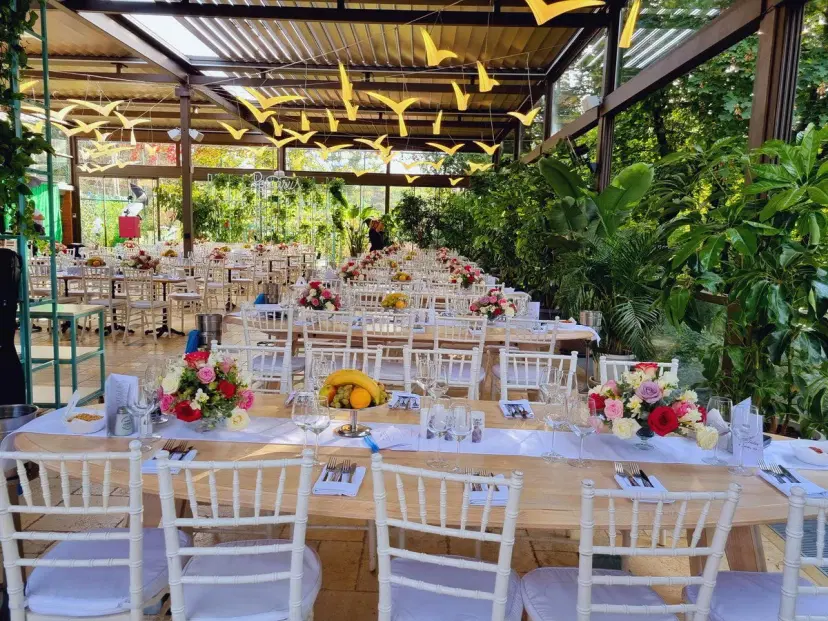 https://honeypot0.s3.amazonaws.com/1700289494654-gallery-RESTAURNAT%20PESCARUS%20%20%282%29.webp