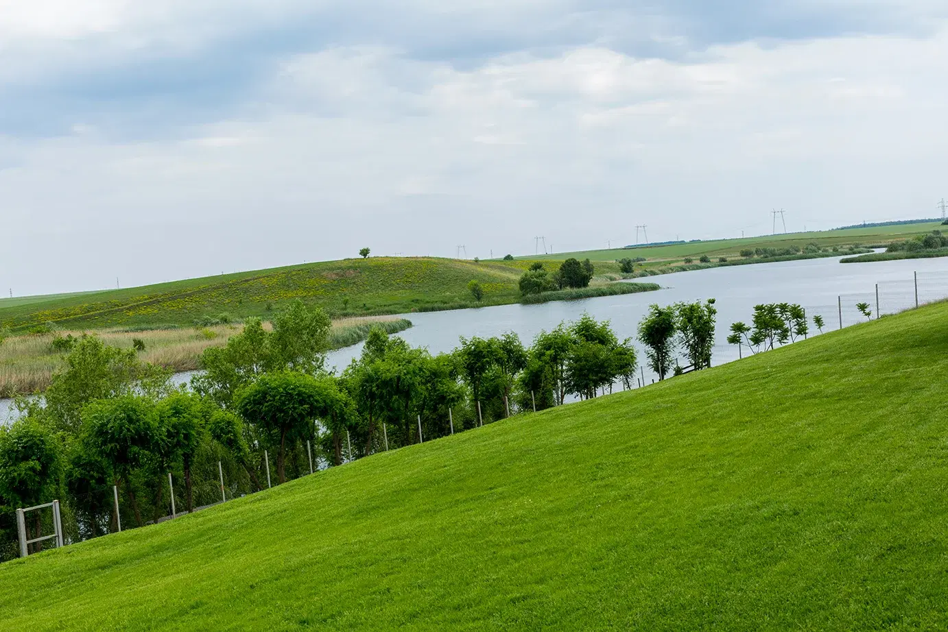 Elysion View