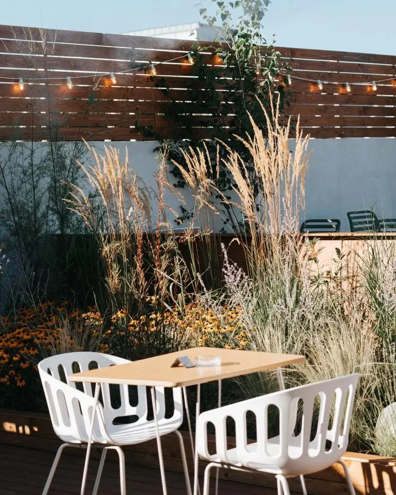 https://honeypot0.s3.amazonaws.com/1700584863124-gallery-DESCHIS%20GASTROBAR%20%282%29.webp