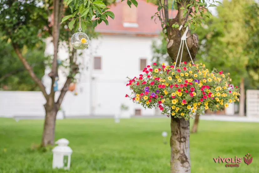 https://honeypot0.s3.amazonaws.com/1700784212592-gallery-gradina-7.webp