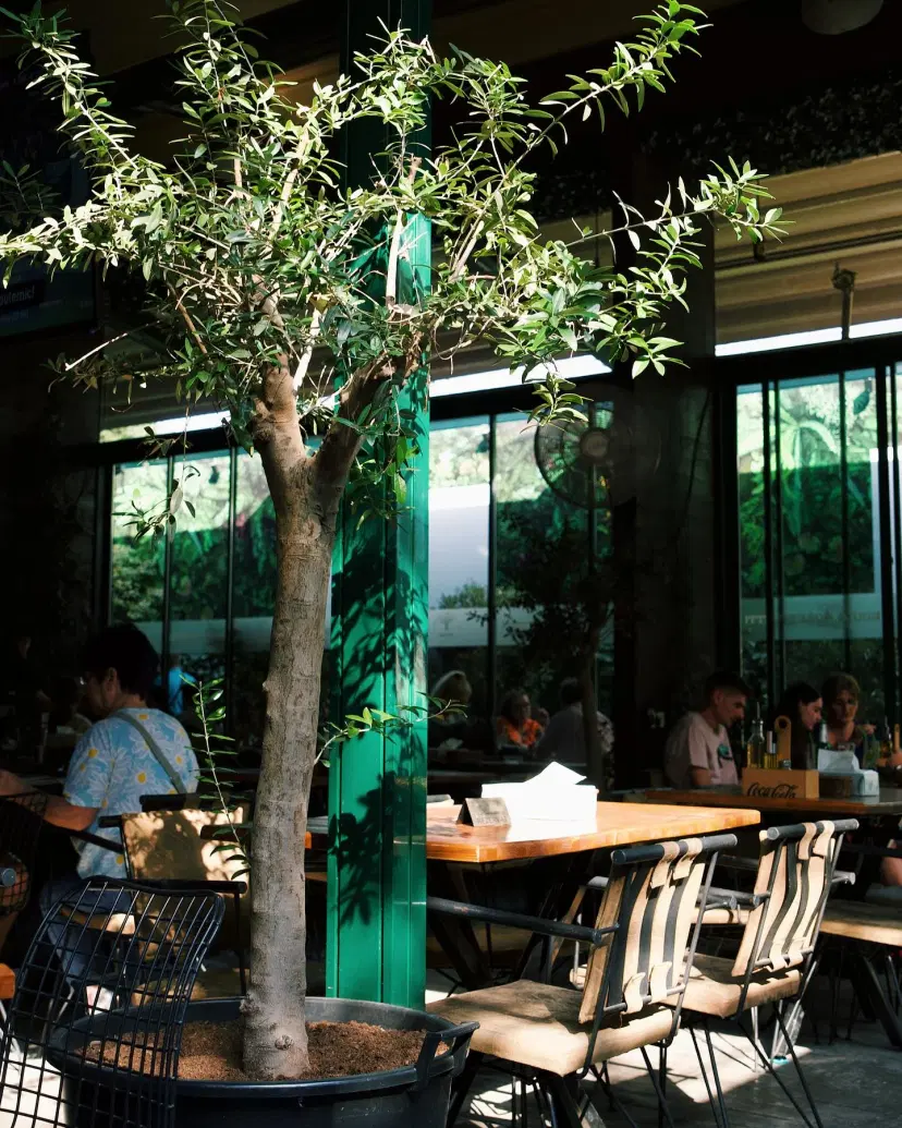 https://honeypot0.s3.amazonaws.com/1701080748349-gallery-WEISS%20BEER%20GARDEN%20%285%29.webp