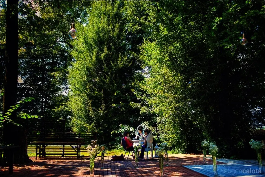 TreeHouse