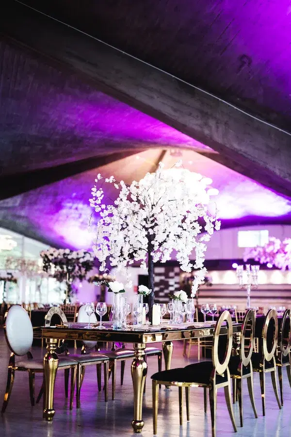 https://honeypot0.s3.amazonaws.com/1701130361329-gallery-The-Palm-18.webp