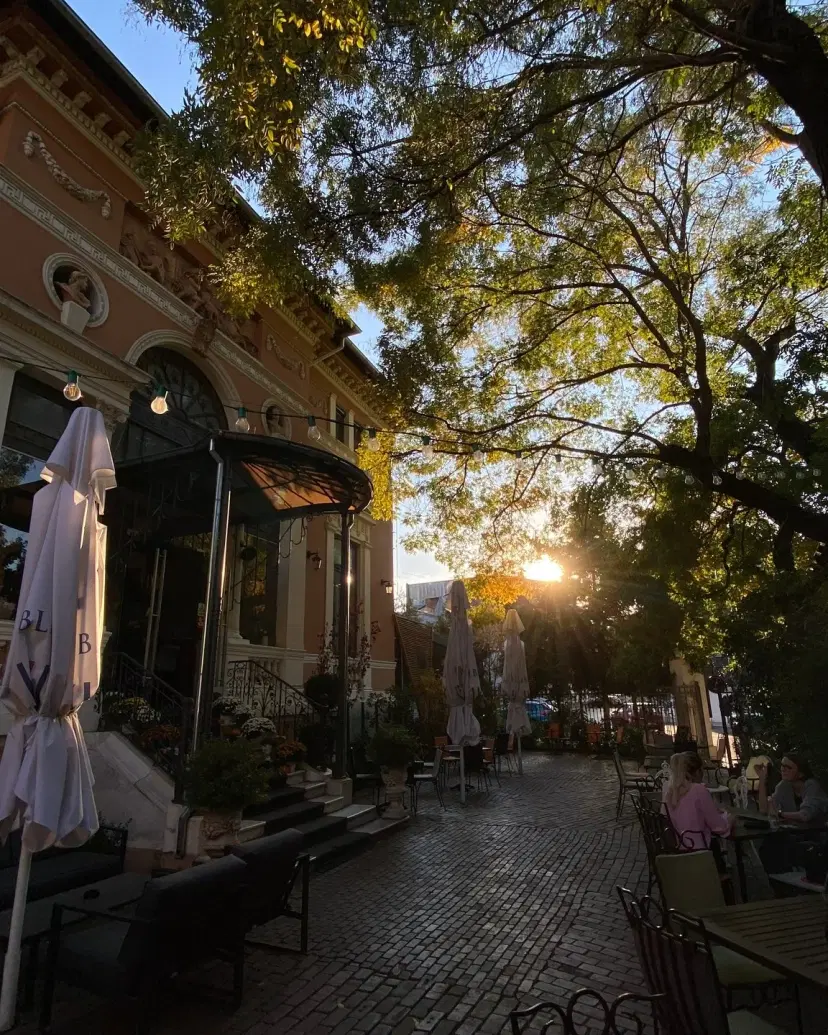 https://honeypot0.s3.amazonaws.com/1701246414087-gallery-RESTAURANT%20BARRIO%20%286%29.webp