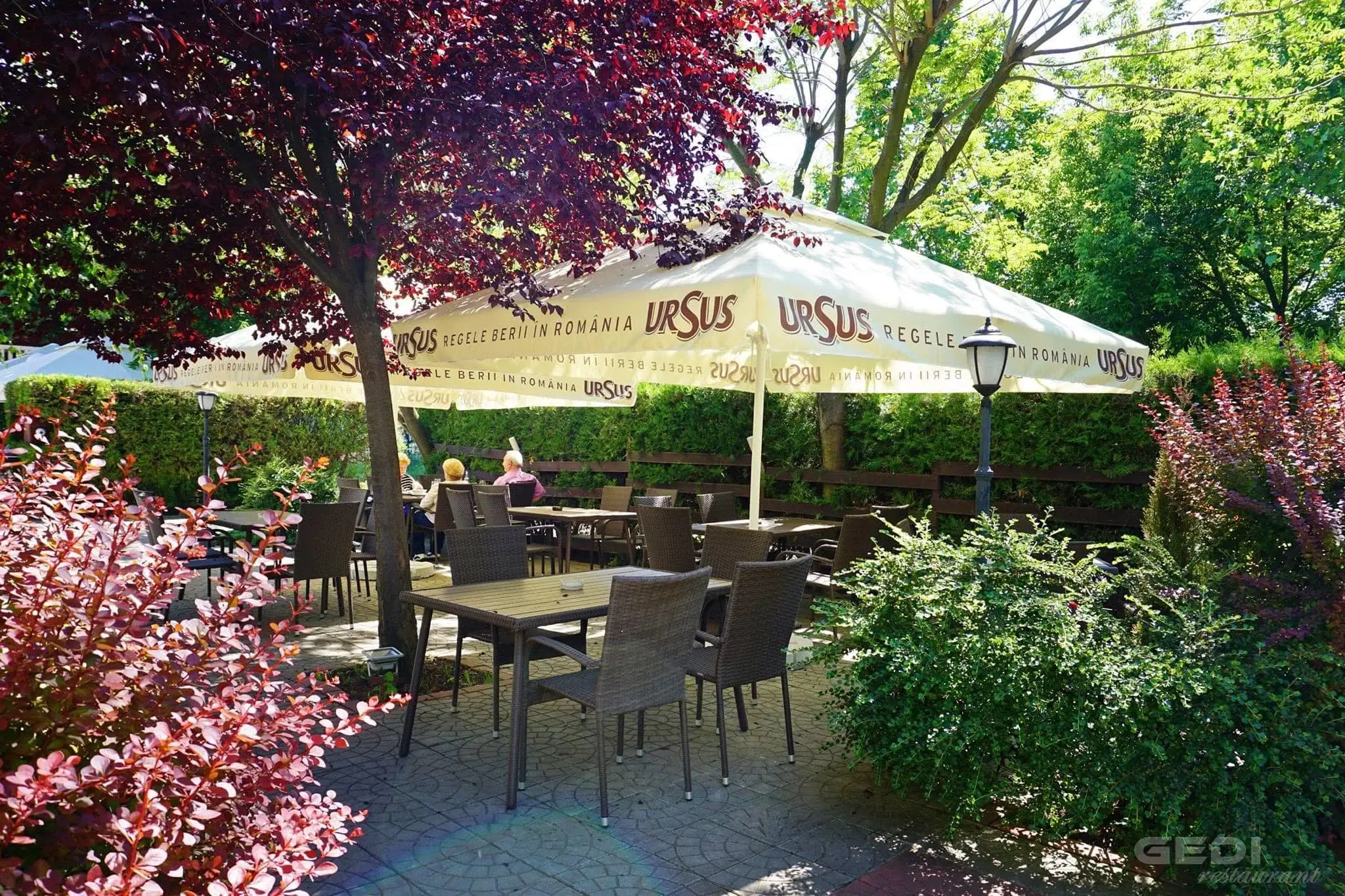 Restaurant Gedi