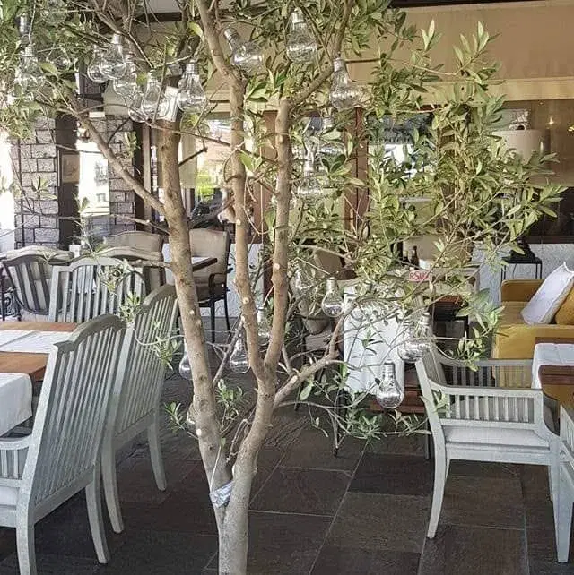 https://honeypot0.s3.amazonaws.com/1701688469845-gallery-RESTAURANT%20BELVEDERE%20%283%29.webp