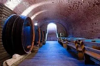 https://honeypot0.s3.amazonaws.com/1701774643892-gallery-domeniul-conacul-dintre-vii-3-228.webp
