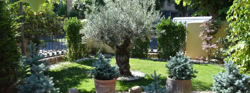 https://honeypot0.s3.amazonaws.com/1701780401473-gallery-RESTAURANT%20TOSCANY%20%282%29.webp