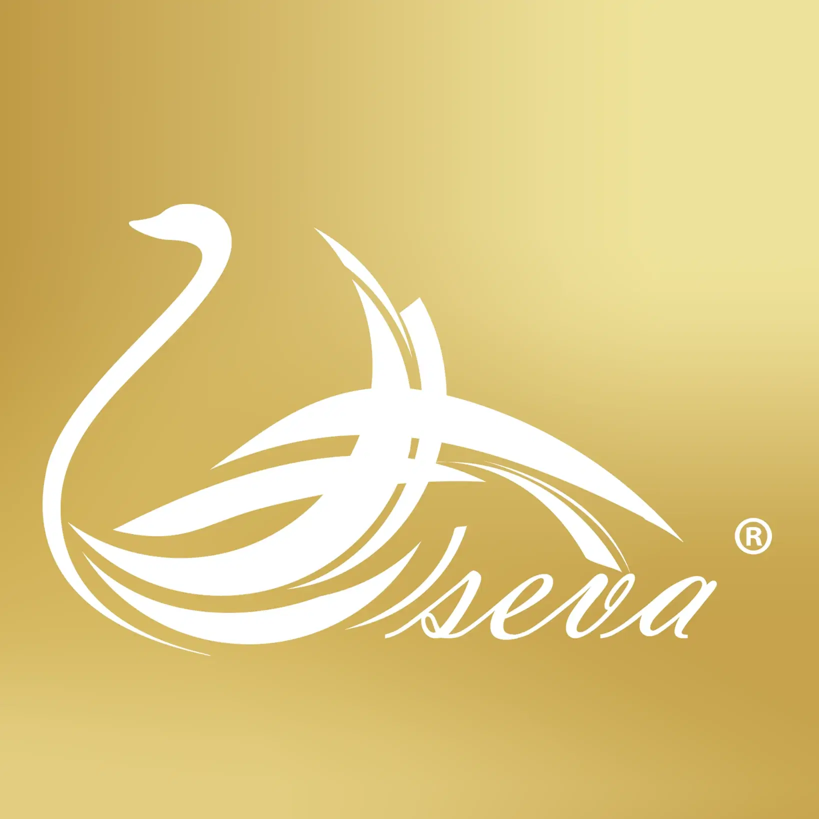 Seva Events
