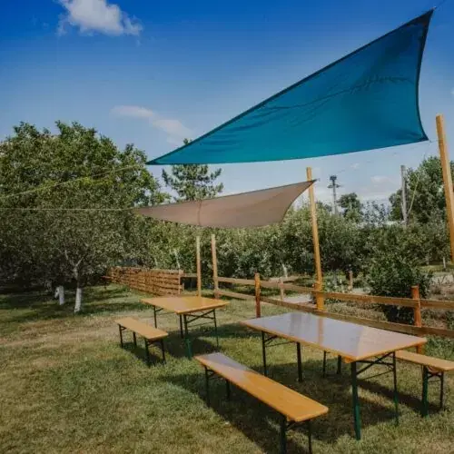 https://honeypot0.s3.amazonaws.com/1702283686278-gallery-GRADINA%20CU%20LAVANDA%20%287%29.webp