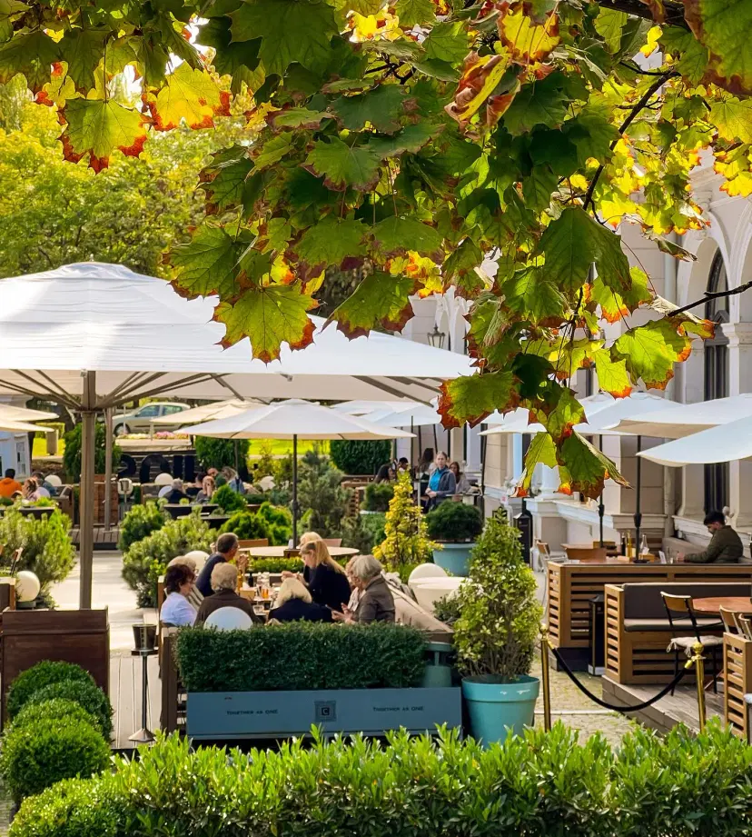 https://honeypot0.s3.amazonaws.com/1702374149251-gallery-CHIOS%20Social%20Lounge%20%286%29.webp