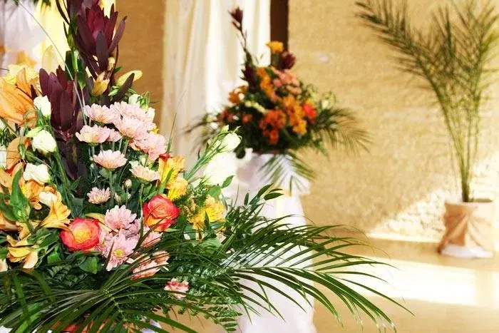 https://honeypot0.s3.amazonaws.com/1702473998461-gallery-COROANA%20TRANSILVANIEI%20%285%29.webp
