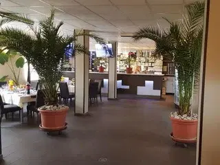 Apollo