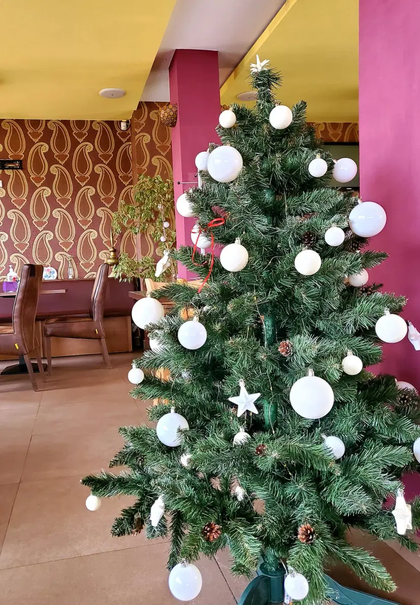 https://honeypot0.s3.amazonaws.com/1702639437969-gallery-RESTAURANT%20INDIGO%20%284%29.webp