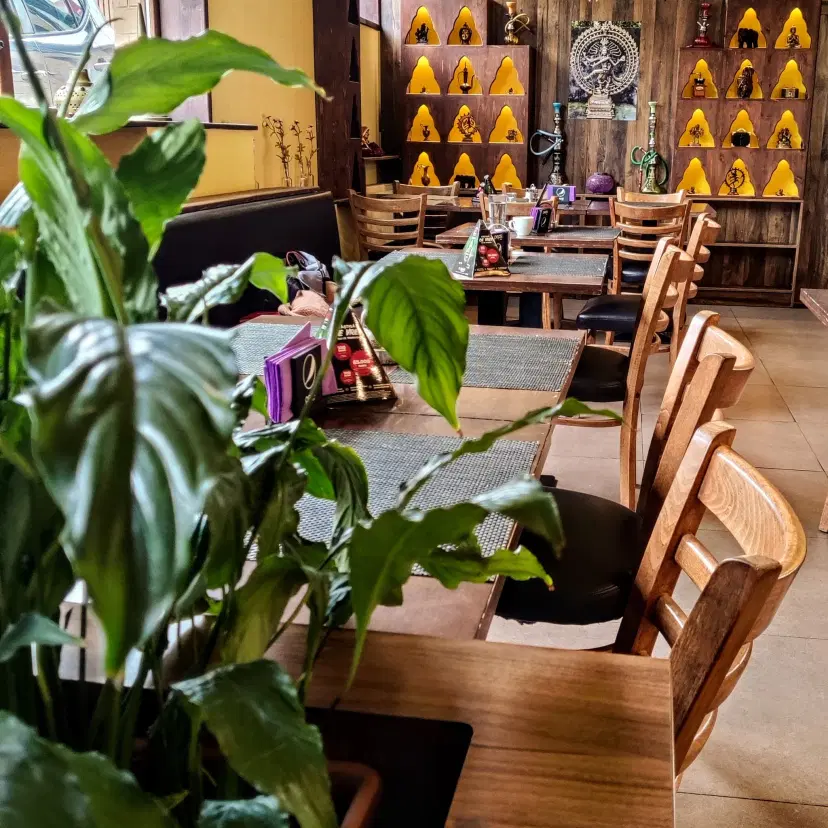 https://honeypot0.s3.amazonaws.com/1702639438974-gallery-RESTAURANT%20INDIGO%20%285%29.webp