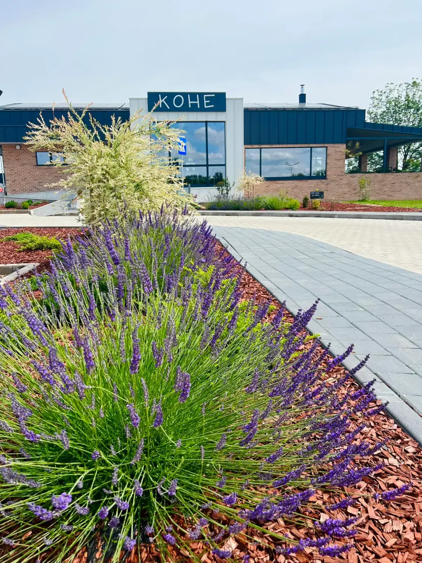 https://honeypot0.s3.amazonaws.com/1702714294124-gallery-KOHE%20%283%29.webp