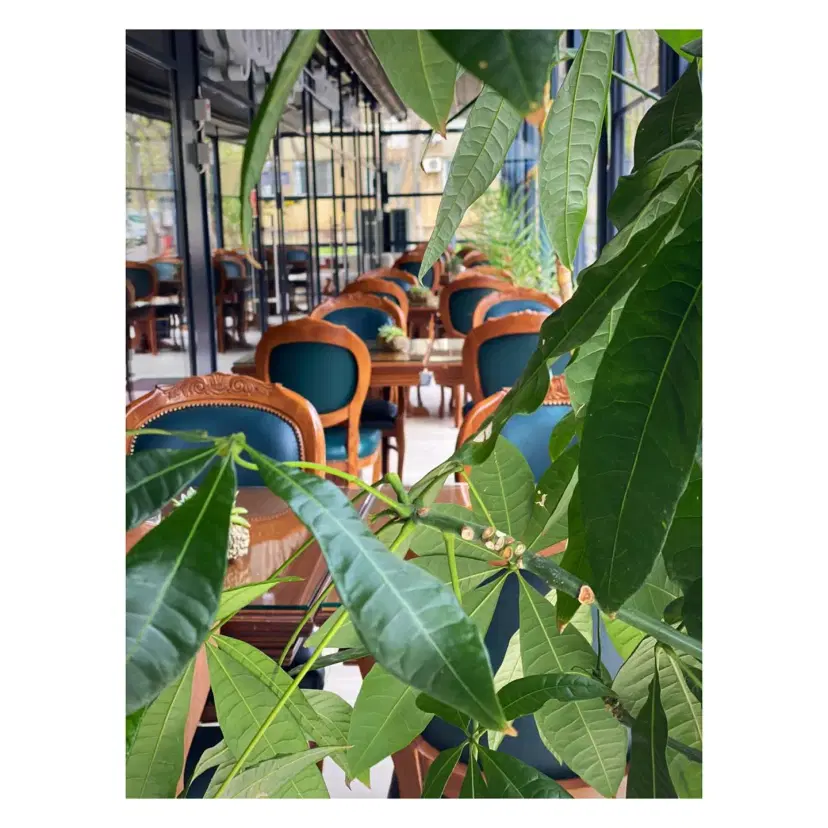 https://honeypot0.s3.amazonaws.com/1703242165371-gallery-Veranda%20Ristorante%20%20%286%29.webp