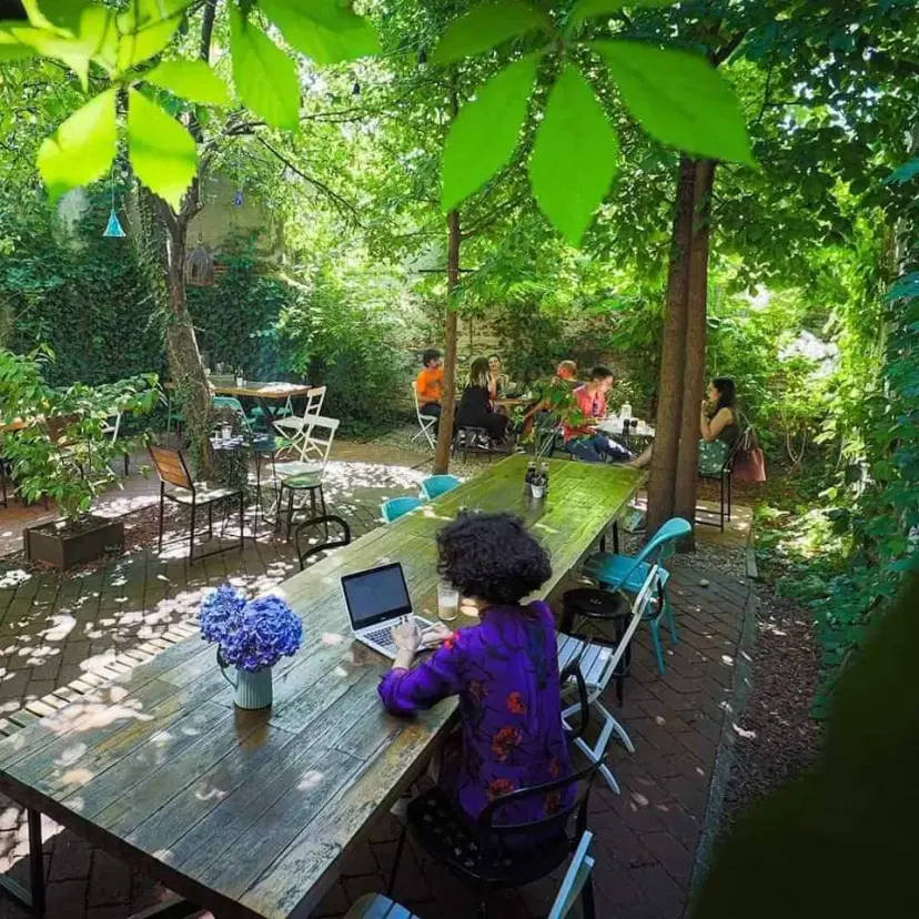 https://honeypot0.s3.amazonaws.com/1703250021515-gallery-Simbio%20%20%282%29.webp