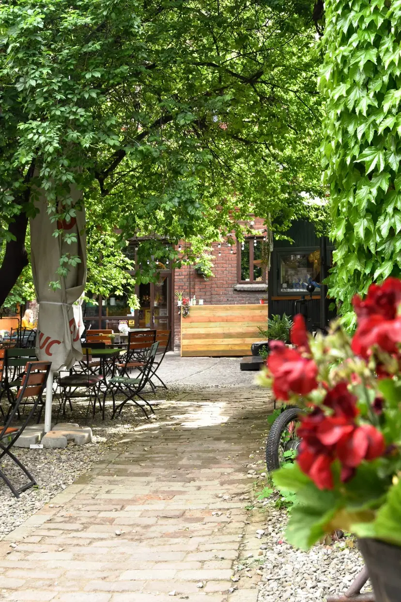 https://honeypot0.s3.amazonaws.com/1703250561117-gallery-GRADINA%20OLARI%20%284%29.webp