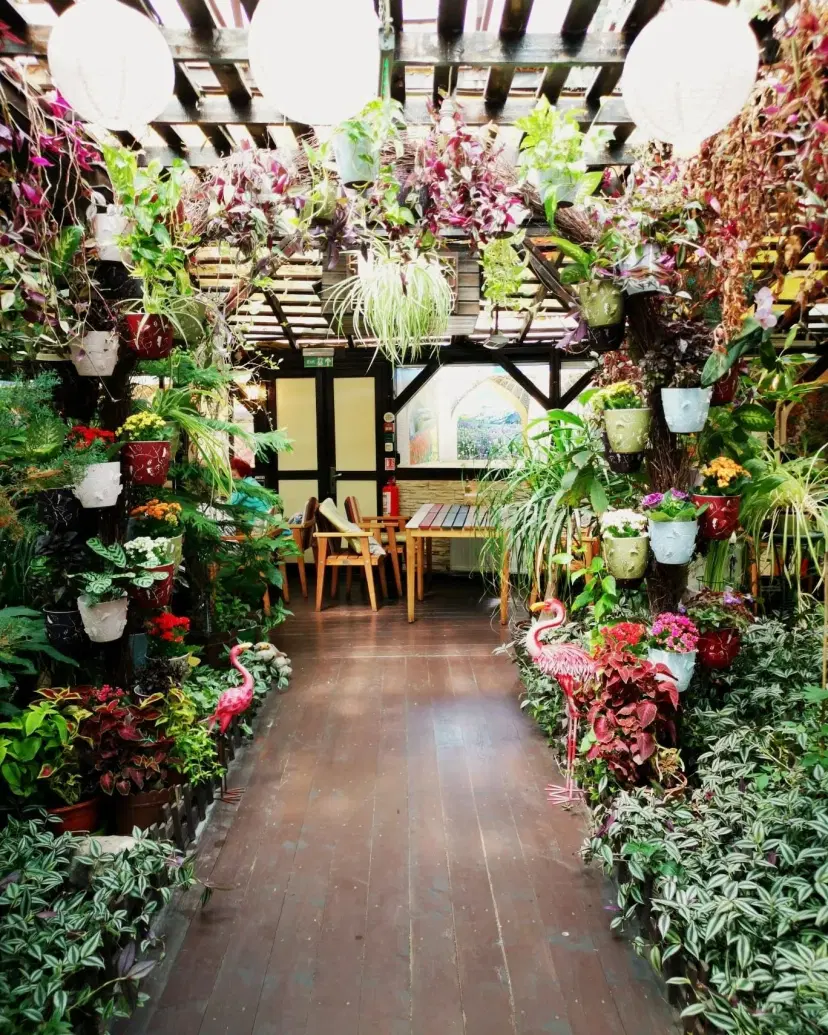 https://honeypot0.s3.amazonaws.com/1703258002890-gallery-Journey%20Garden%20%286%29.webp