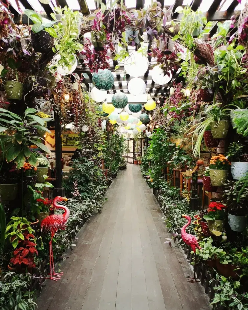 https://honeypot0.s3.amazonaws.com/1703258003866-gallery-Journey%20Garden%20%287%29.webp