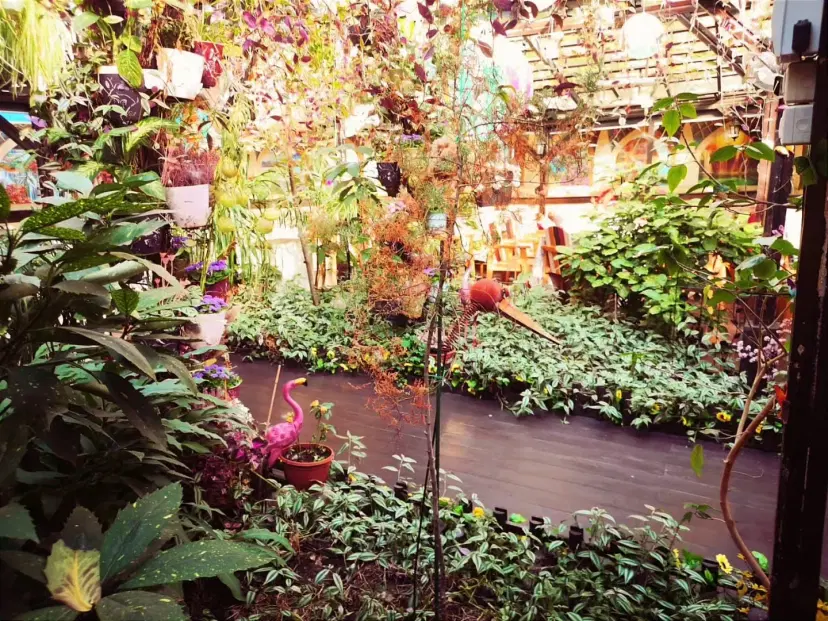 https://honeypot0.s3.amazonaws.com/1703258006407-gallery-Journey%20Garden%20%2810%29.webp