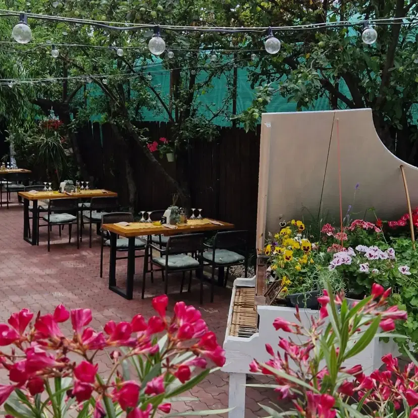 https://honeypot0.s3.amazonaws.com/1703749620593-gallery-RARE%20GARDEN%20%283%29.webp