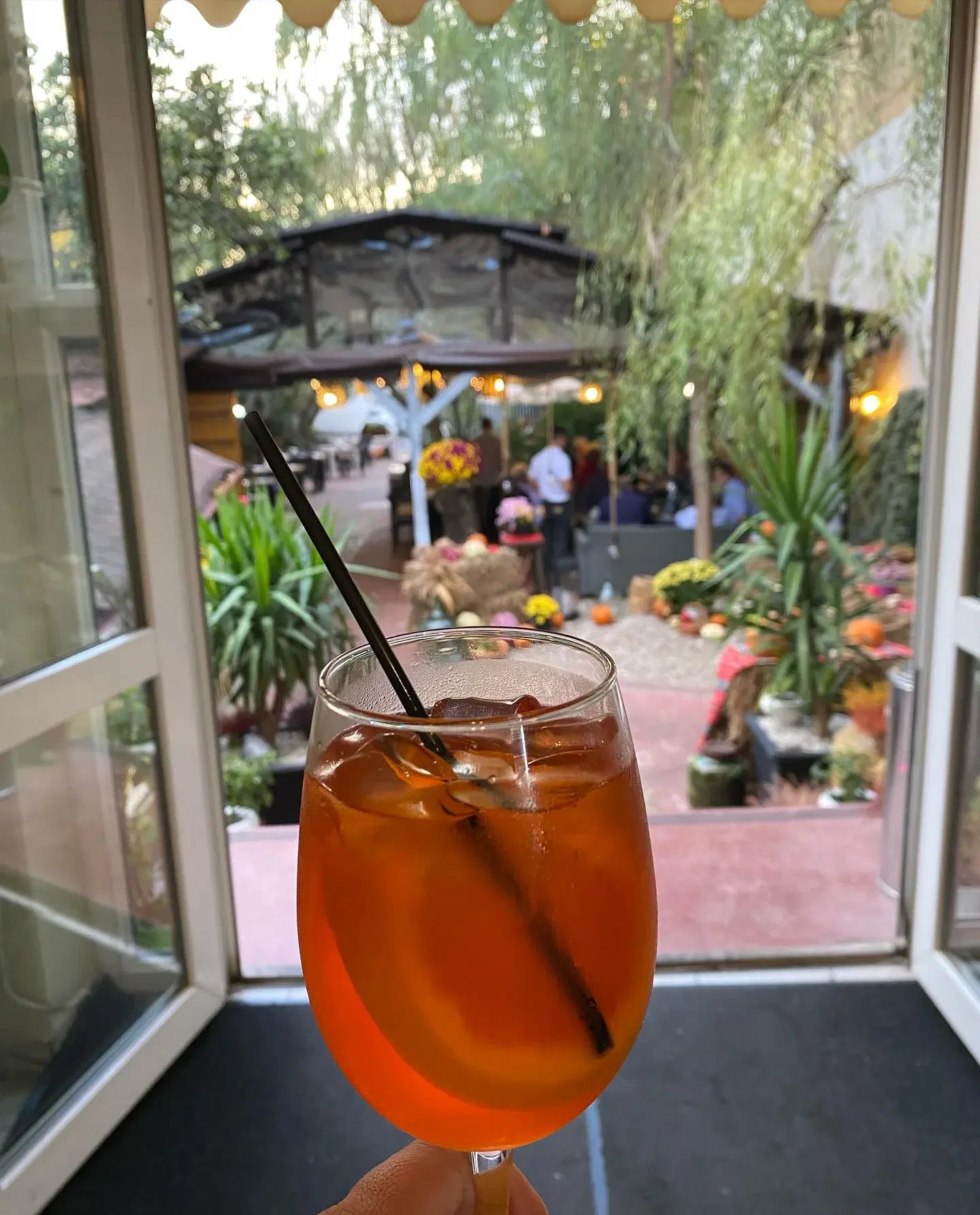 Rare Garden