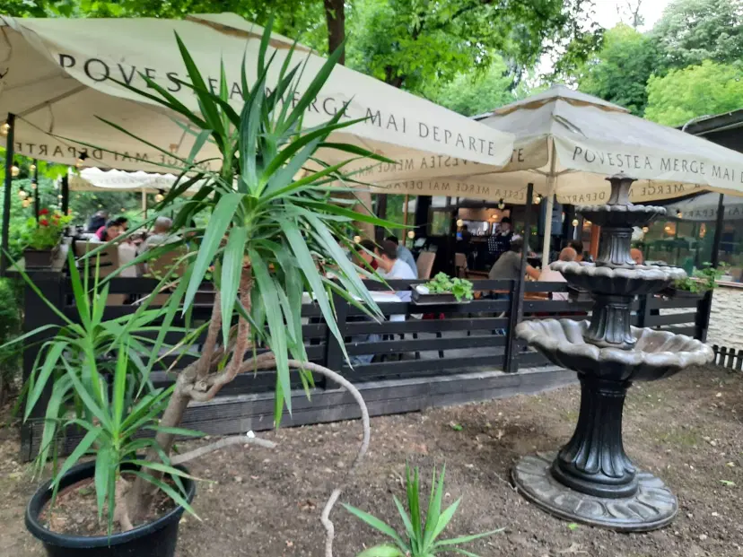 https://honeypot0.s3.amazonaws.com/1703843660429-gallery-RESTAURANT%20DINES%20%281%29.webp