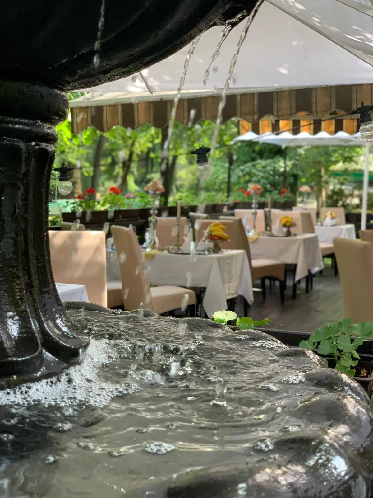 Restaurant Dines