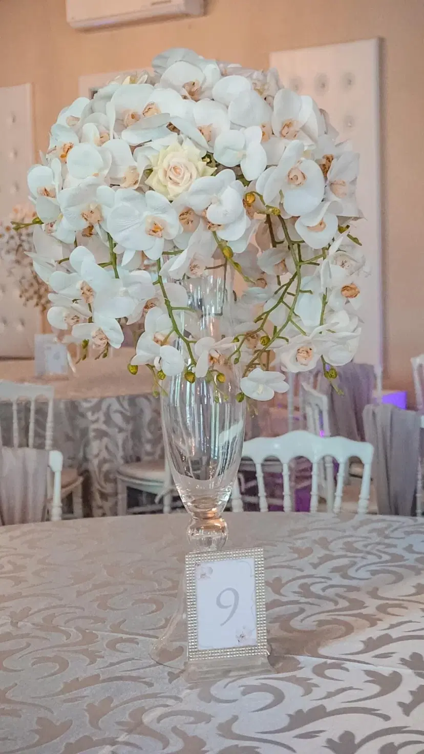 https://honeypot0.s3.amazonaws.com/1704299408943-gallery-SPLENDOR%20EVENTS%20%285%29.webp