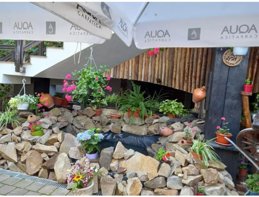 https://honeypot0.s3.amazonaws.com/1704362335499-gallery-RESTAURANT%20VALAHIA%20%285%29.webp