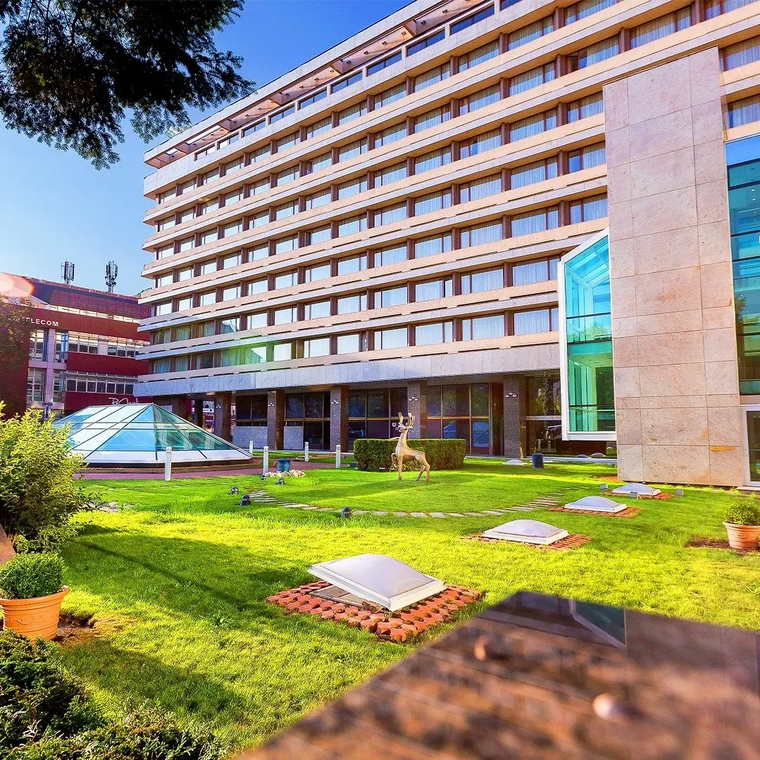 Hotel Aro Palace
