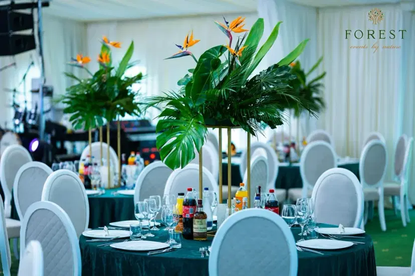 https://honeypot0.s3.amazonaws.com/1706705913199-gallery-FOREST%20EVENTS%20CUCORANI%20%287%29.webp