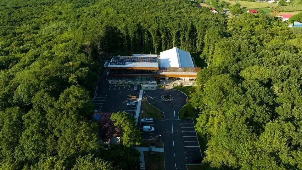 Forest Events Cucorani