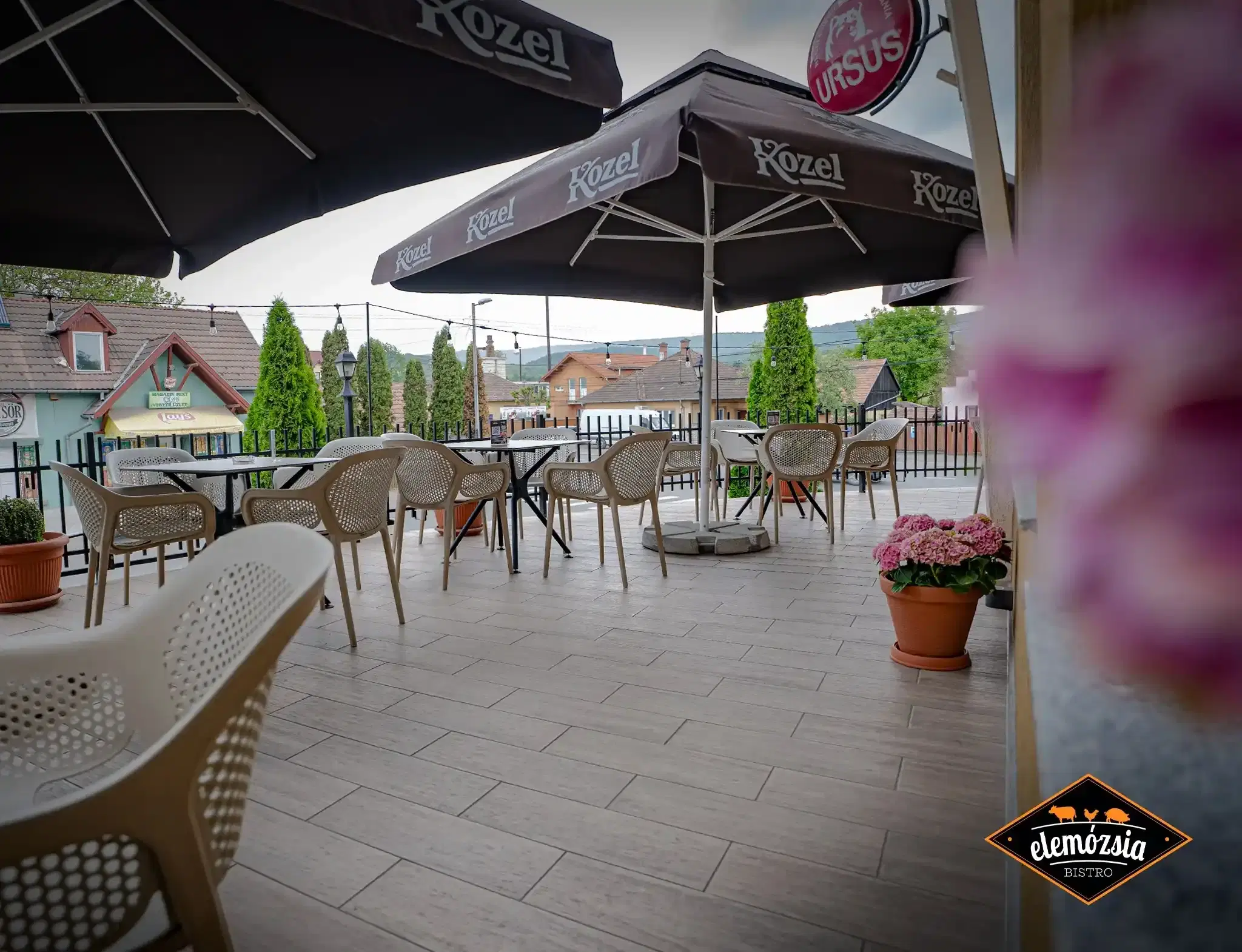 Elemozsia Bistro