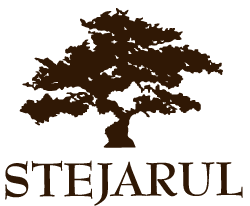 Complex Stejarul