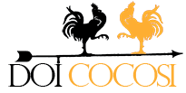 Doi Cocosi