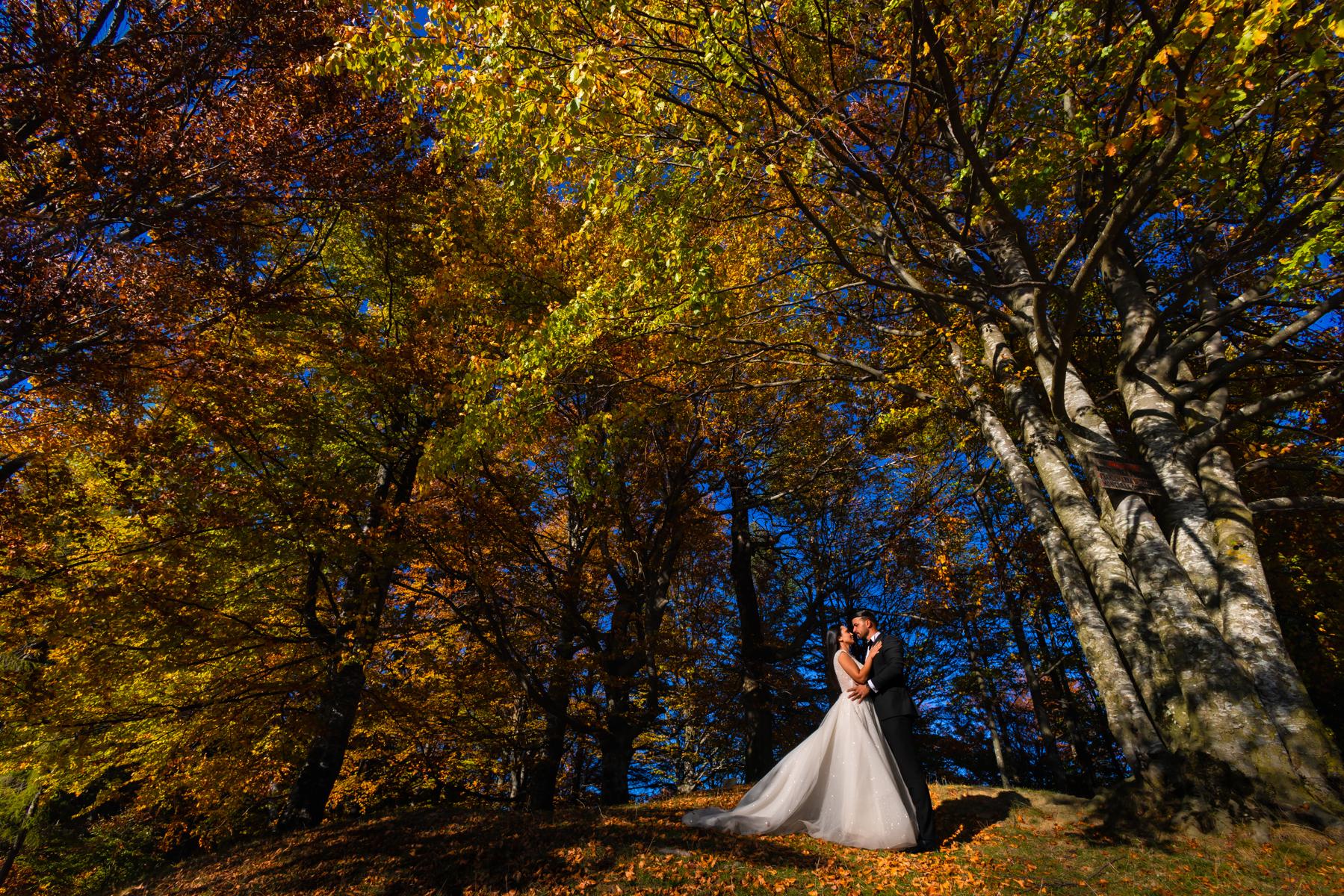 Ciprian Grigorescu Photography