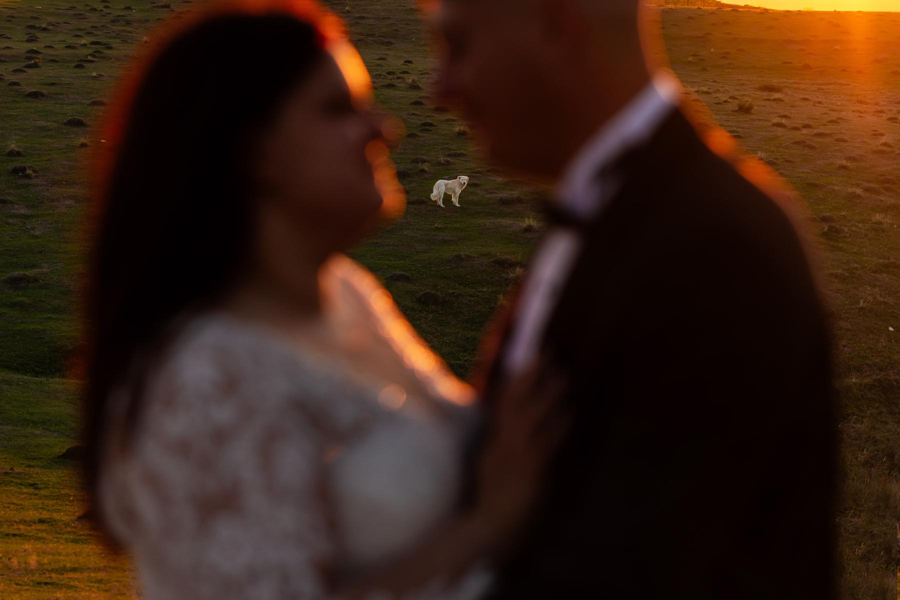 Ciprian Grigorescu Photography