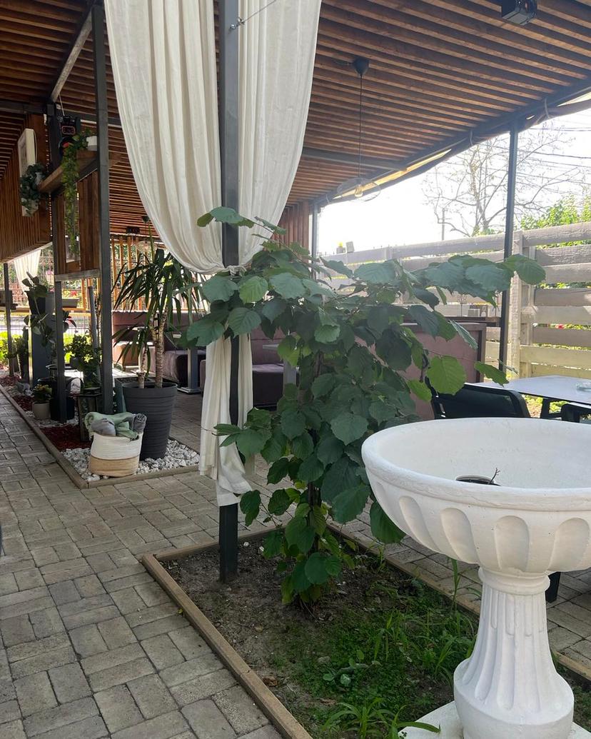 https://honeypot0.s3.amazonaws.com/gallery/1740585686882-gallery-Fusion%20Restaurant%20%281%29.jpg