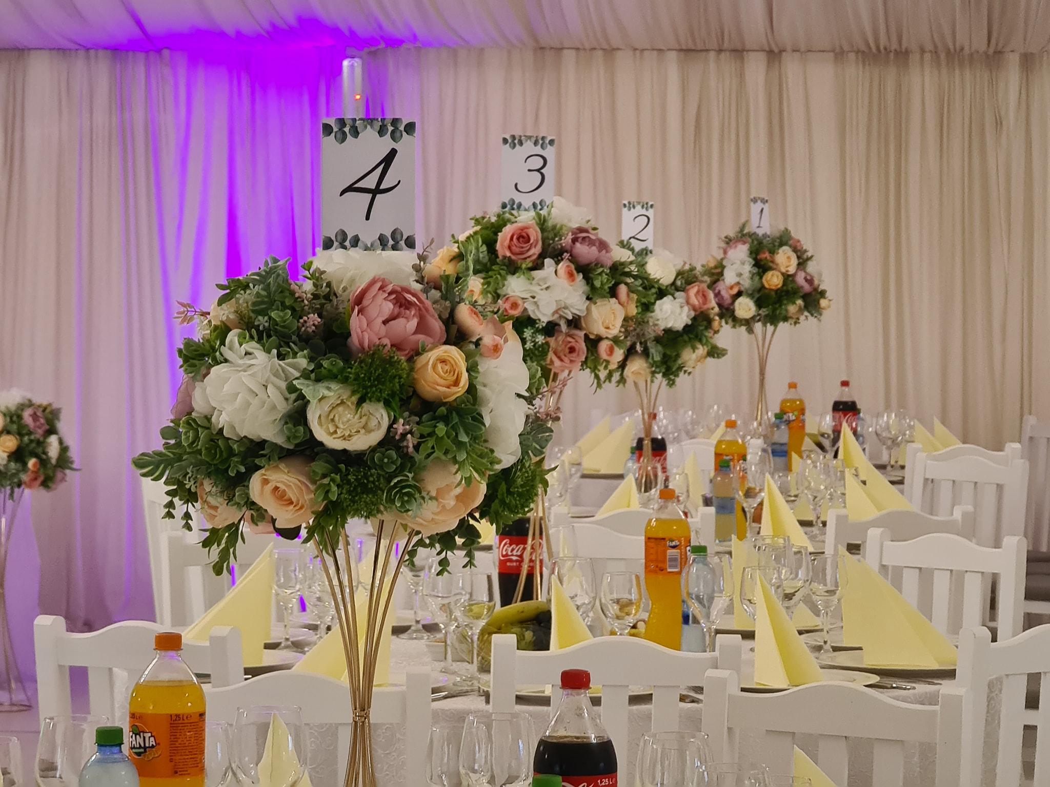 Riana Events